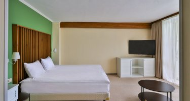 Junior Suite with a terrace