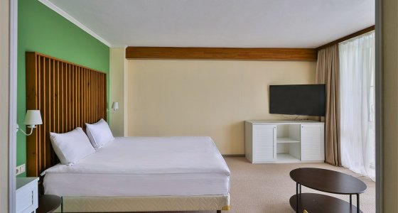 Junior Suite with a terrace