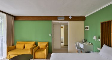 Junior Suite with a terrace